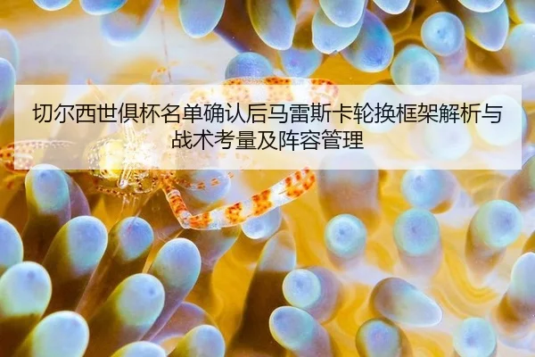 qie-er-xi-shi-ju-bei-ming-dan-que-ren-hou-ma-lei-si-ka-lun-huan-kuang-jia-jie-xi-yu-zhan-shu-kao-liang-ji-zhen-rong-2-543.jpg